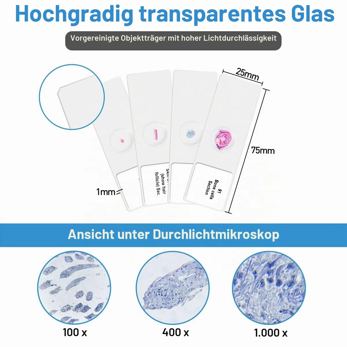 100P Mikroskop Objektträger mit biologischen Proben,Tiere, Insekten, Pflanzen, menschliches Gewebe, für Kinder, Studenten, erleuchtet die Bildung